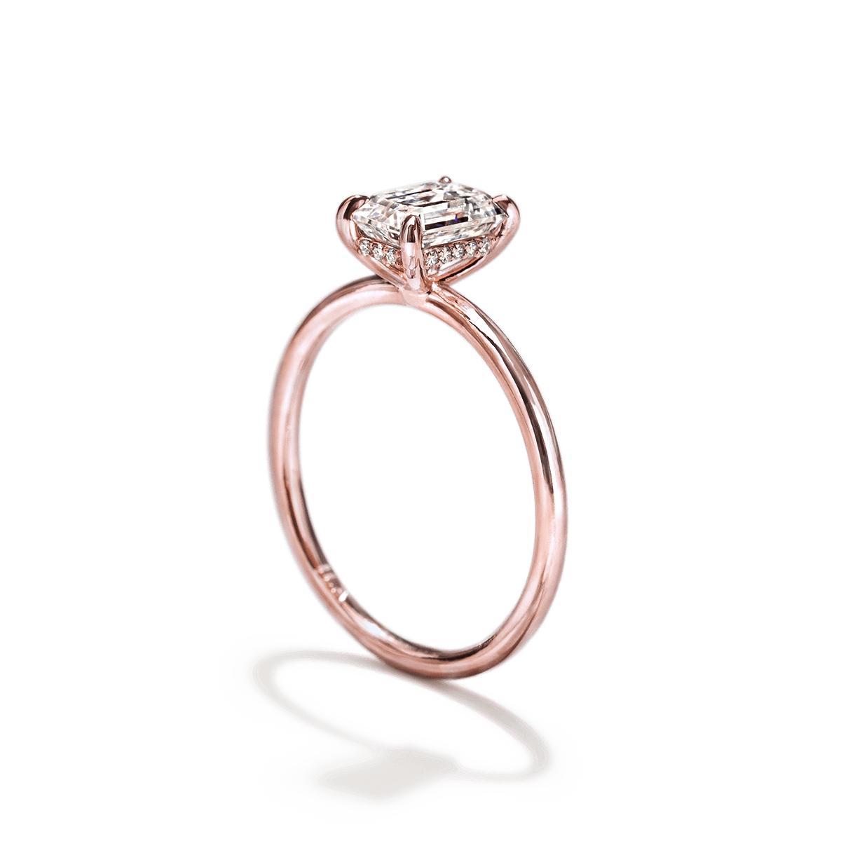 Hidden Halo Engagement Ring