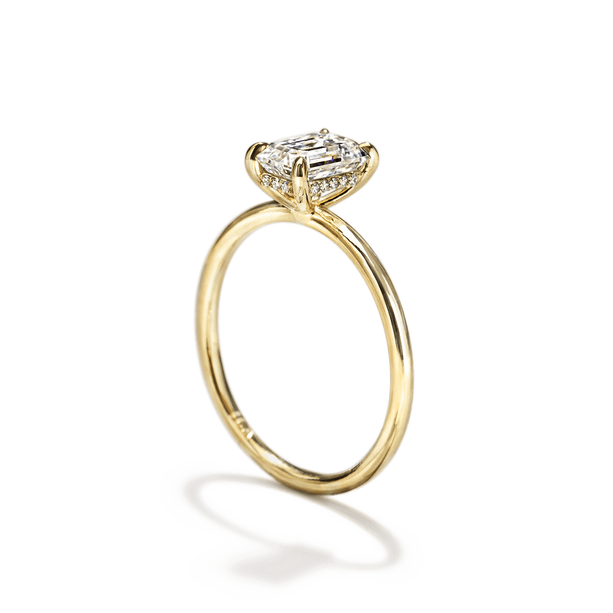 Hidden Halo Engagement Ring