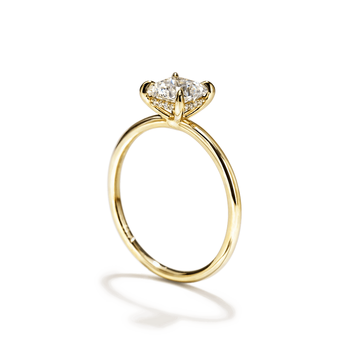 Hidden Halo Engagement Ring