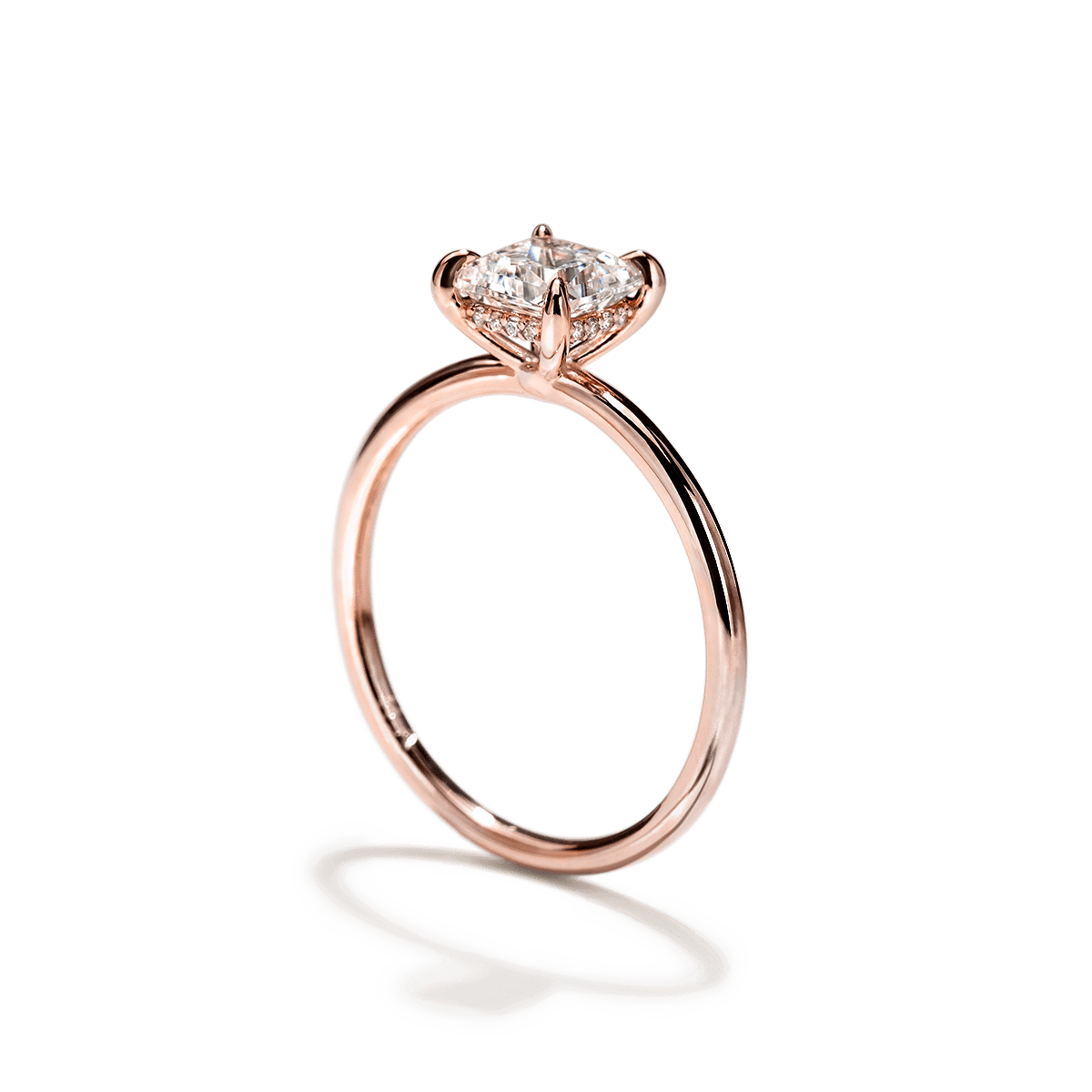 Hidden Halo Engagement Ring